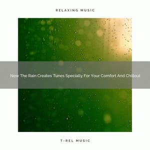 2020 Best: Now The Rain Creates Tunes Specially For Your Comfort And Chillout - Rain Sounds Collection