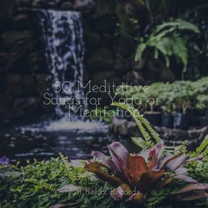 50 Meditative Songs for Yoga or Meditation - Ambient