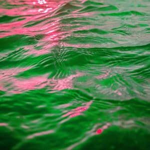 Phenomenal Lo-fi - Background for Calm Classics - Simple Lo-Fi