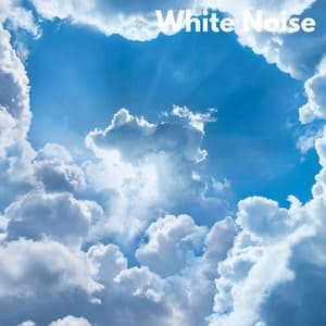 White Noise - Pink Noise Source