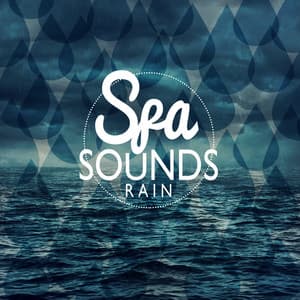 Spa Sounds: Rain - Relaxing Sounds of Rain Music Club