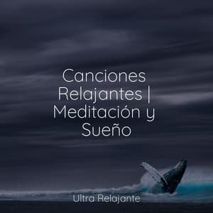 Canciones Relajantes | Meditación y Sueño - Musica Para Dormir