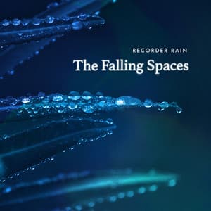 The Falling Spaces - Recorder Rain
