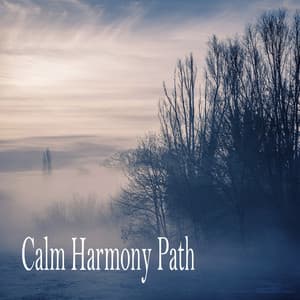 Calm Harmony Path - Meditation Music