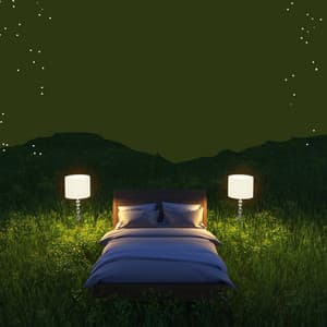 Lunar Lullabies: A Selection of Music for Sleep - Brief Moments