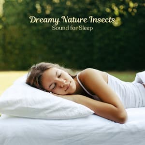 Dreamy Nature Insects: Sound for Sleep - Cricket Sounds