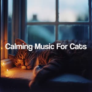 Calming Music For Cats - Relaxing Spa Music