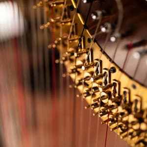 Orchestra for Yoga Calm and Comfort - Jason Humphries