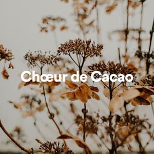 Chur de cacao - Bruit Brun