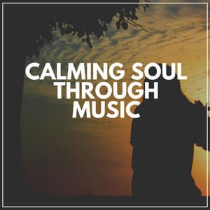 Calming Soul Through Music - Deep Sleep Systems