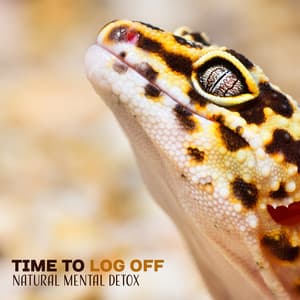 Time to Log Off - Peaceful Mind Music Consort