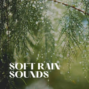 Soft Rain Sounds - The Nature Soundscapes