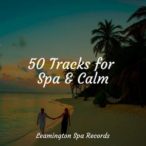 50 Tracks for Spa & Calm - Nature Sound Collection