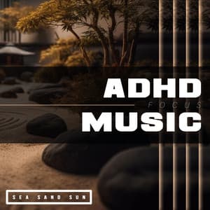 ADHD Focus Music - Sea Sand Sun