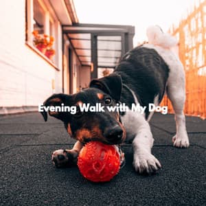 Evening Walk with My Dog - Bossanova Playlist