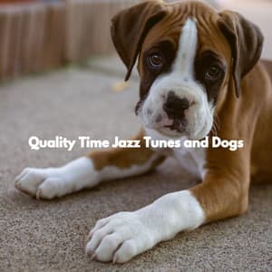 Quality Time Jazz Tunes and Dogs - Jazz & Study Playlist