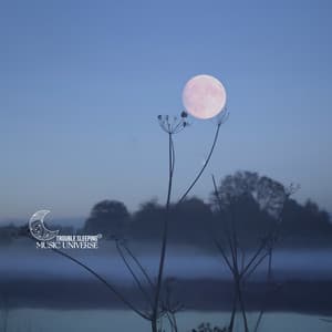 Calmly Lunar Rest - Trouble Sleeping Music Universe