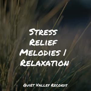Stress Relief Melodies | Relaxation - Sons da natureza HD