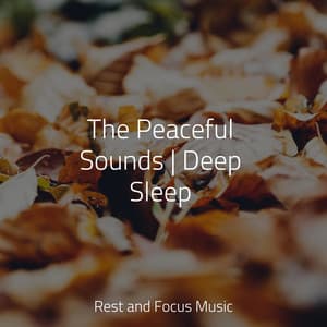 The Peaceful Sounds | Deep Sleep - Study Concentration