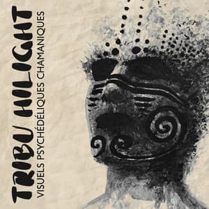 Tribu Hilight: Visuels psychédéliques chamaniques, Transe chamanique, Cosmologie chamanique, Un examen psychologique du monde des chamans - Nature Académie