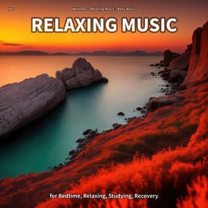 #01 Relaxing Music for Bedtime, Relaxing, Studying, Recovery - Wellness