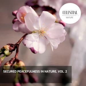 Secured Peacefulness in Nature, Vol. 2 - Nature Radiance