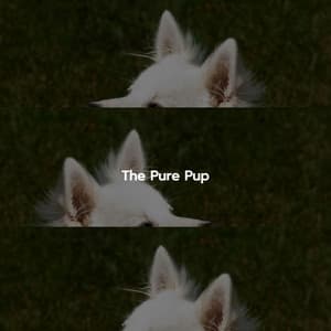The Pure Pup - Cafe Jazz Classics