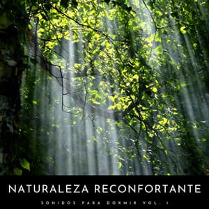 Naturaleza Reconfortante: Sonidos Para Dormir Vol. 1 - Canciones De Cuna Para Dormir Bebes