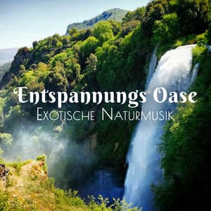Entspannungs Oase - Tiefenentspannung Oase