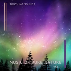 Music of Pure Nature vol. 1 - Soothing Air