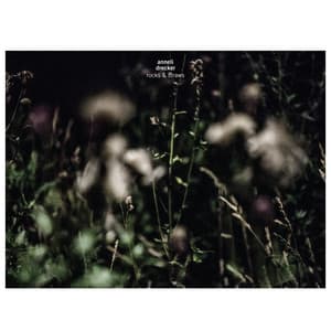 Rocks & Straws - Anneli Drecker