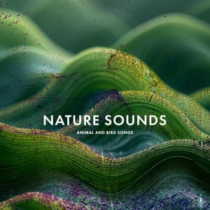 Nature Sounds - Animal and Bird Songs