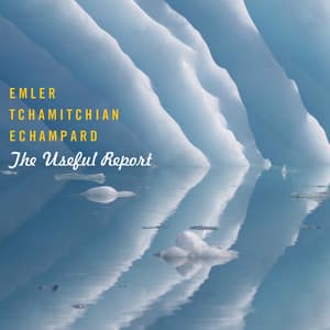 The Useful Report - Andy Emler