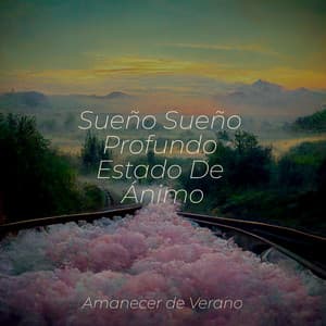 Sueño Sueño Profundo Estado De Ánimo - Relajación