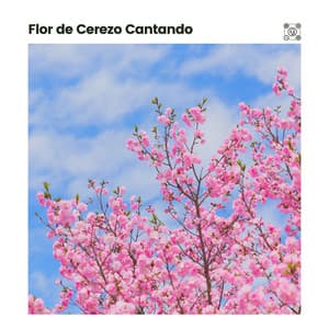 Flor de Cerezo Cantando - Meditación Con Ruido Rosado