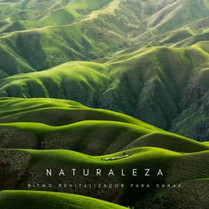 Naturaleza: Ritmo Revitalizador Para Sanar - Ruido Blanco Hart
