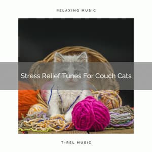 Stress Relief Tunes For Couch Cats - Sleepy Pets