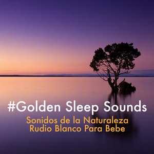 #Golden Sleep Sounds - Sonidos de la Naturaleza Rudio Blanco Para Bebes