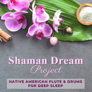 Shaman Dream Project - Native American Flute & Drums for Deep Sleep - Lucid Dream Doctor