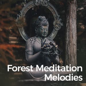 Forest Meditation Melodies - Cotton Duo