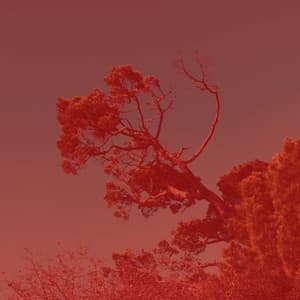 Echoes of Kundalini Yoga - Yoga Music Play List