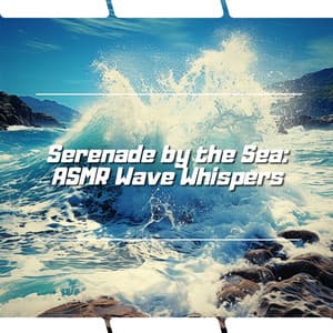 Serenade by the Sea: ASMR Wave Whispers - Ocean Noise Channel