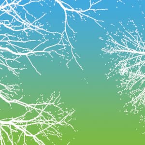 Outlook - Tim Juckes