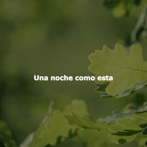 Una noche como esta - Musica del lobby del Hotel