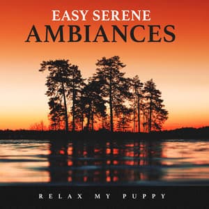 Easy Serene Ambiances - Relax My Puppy