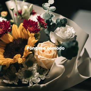 Póngase cómodo - Lettura di Musica