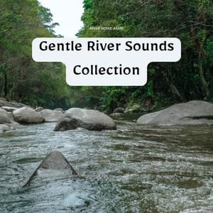 Gentle River Sounds Collection - River Noise ASMR