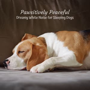 Pawsitively Peaceful: Dreamy White Noise for Sleeping Dogs - White Noise Universe