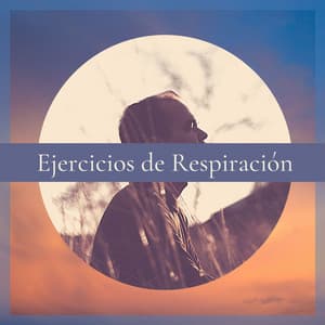 Ejercicios de Respiración: Música para la Práctica de la Meditación, la Mindfulness y la Relajación - Musica Para Meditacion Profunda