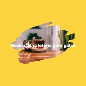 Música de cafetería para gatos - Easy Jazz Bar Cafe